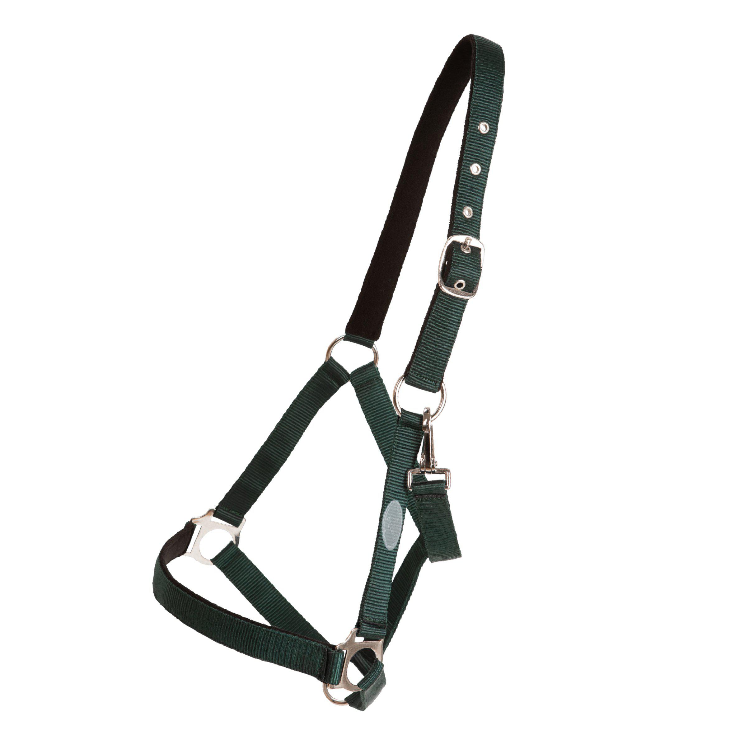 GRIMMA HORSE UNIQUE BASIC - 3