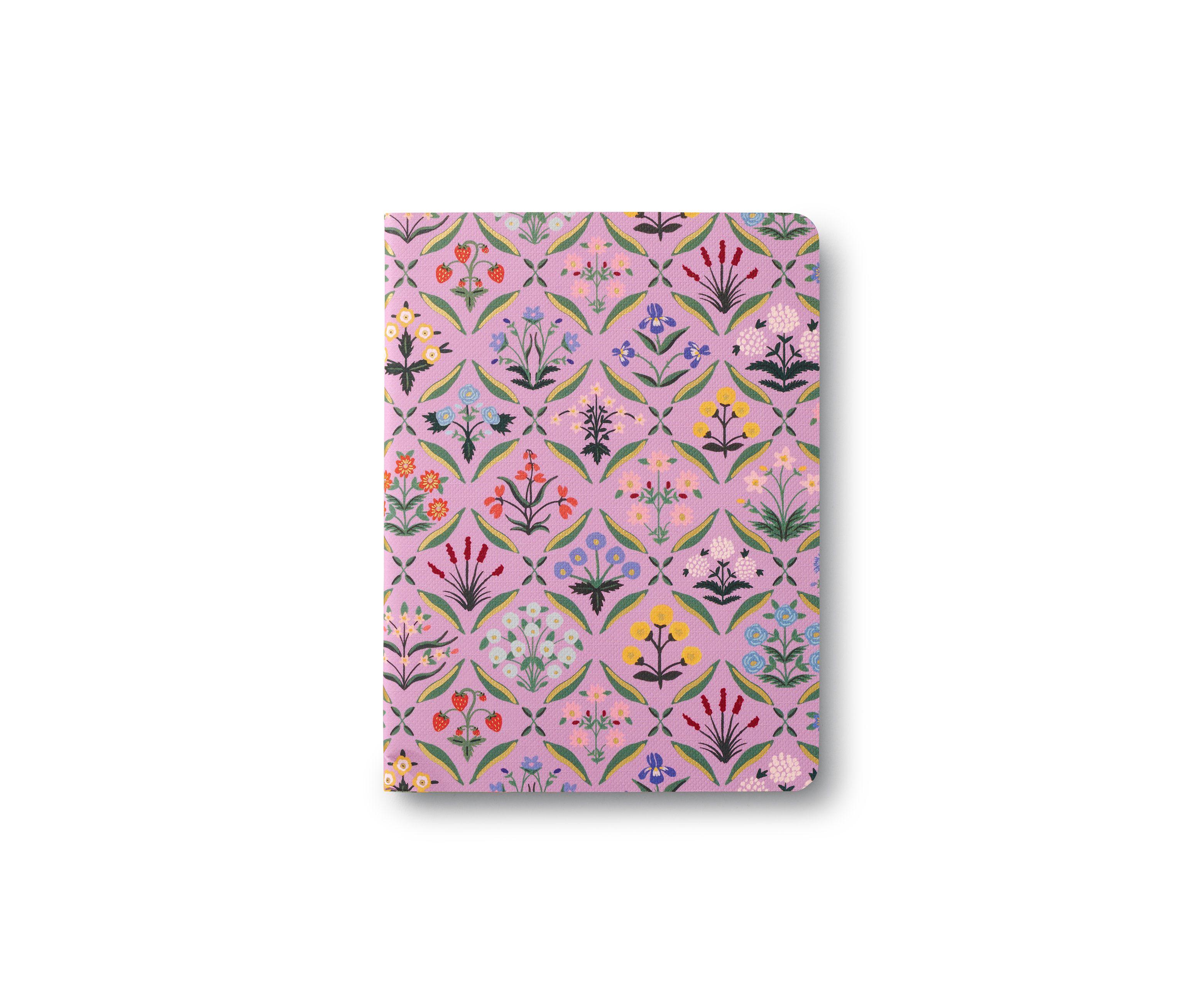Estee Pocket Notebook Boxed Set - 3