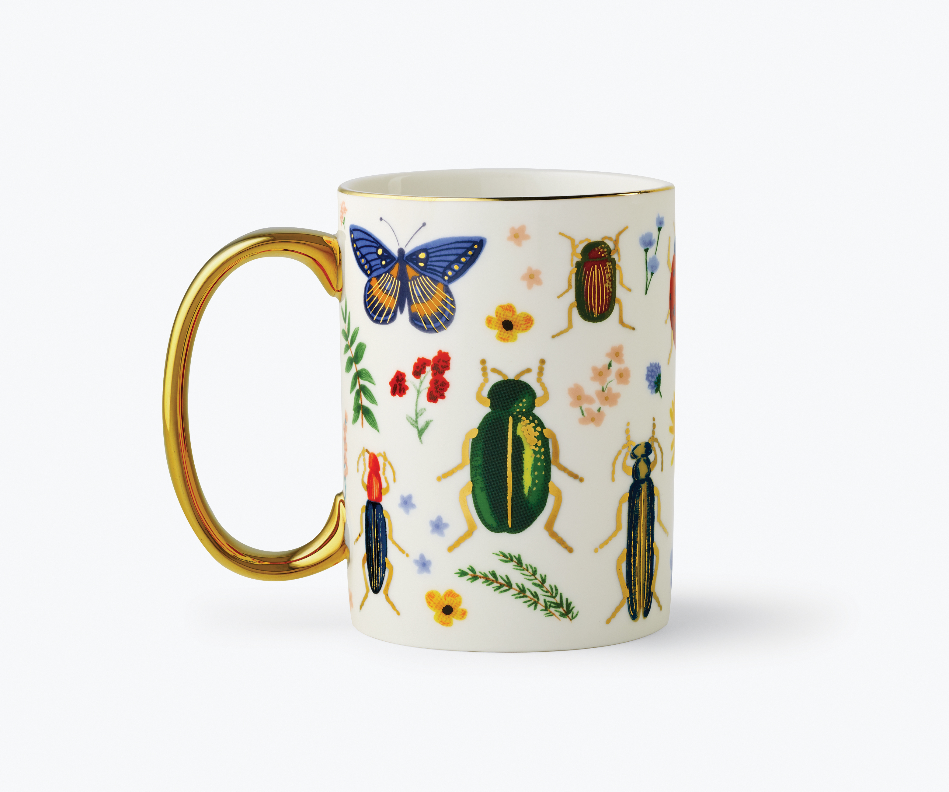 Mugg Curio