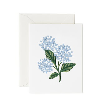 Hydrangea Bloom Card