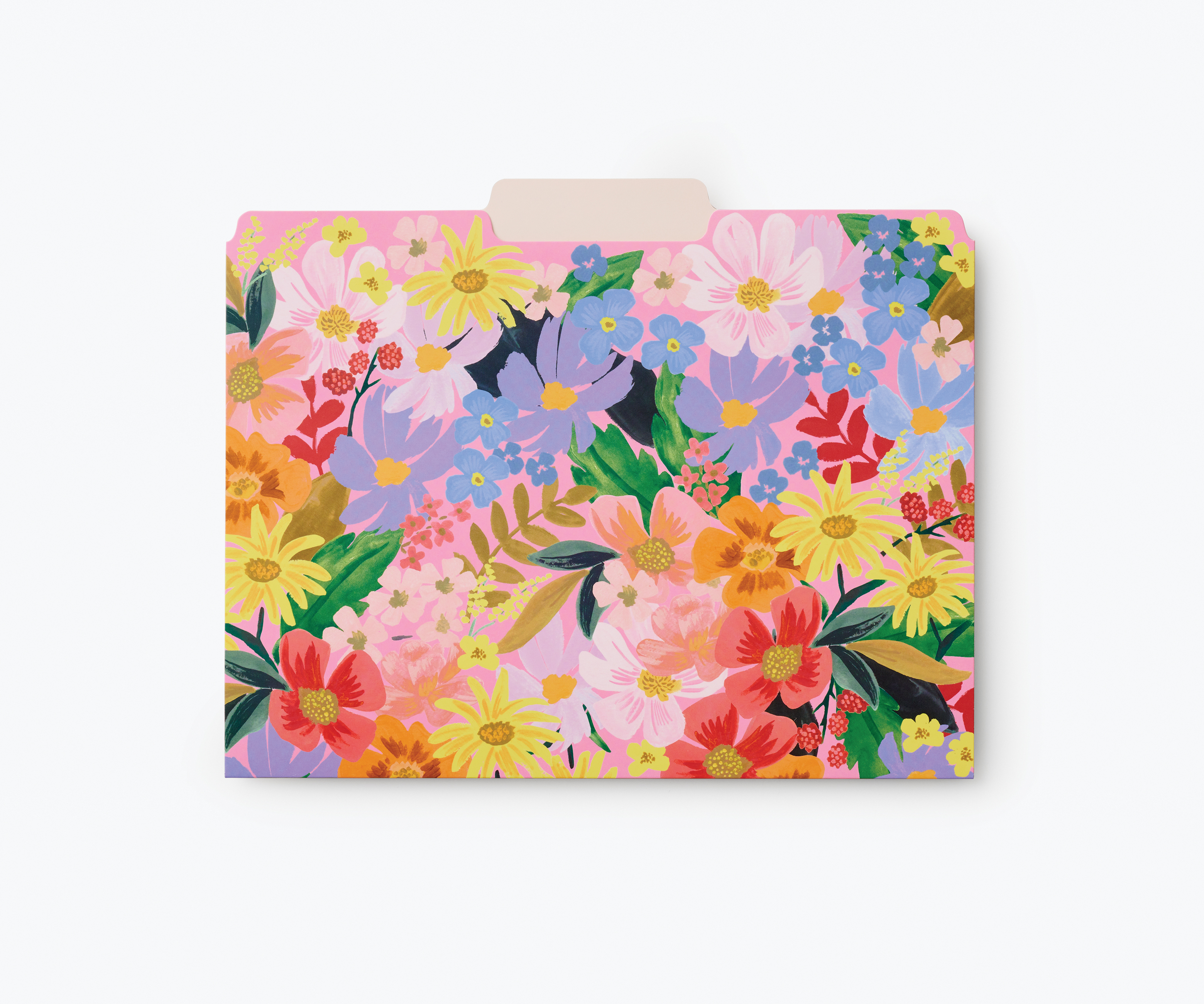 Marguerite Fields File Folder Set - 3