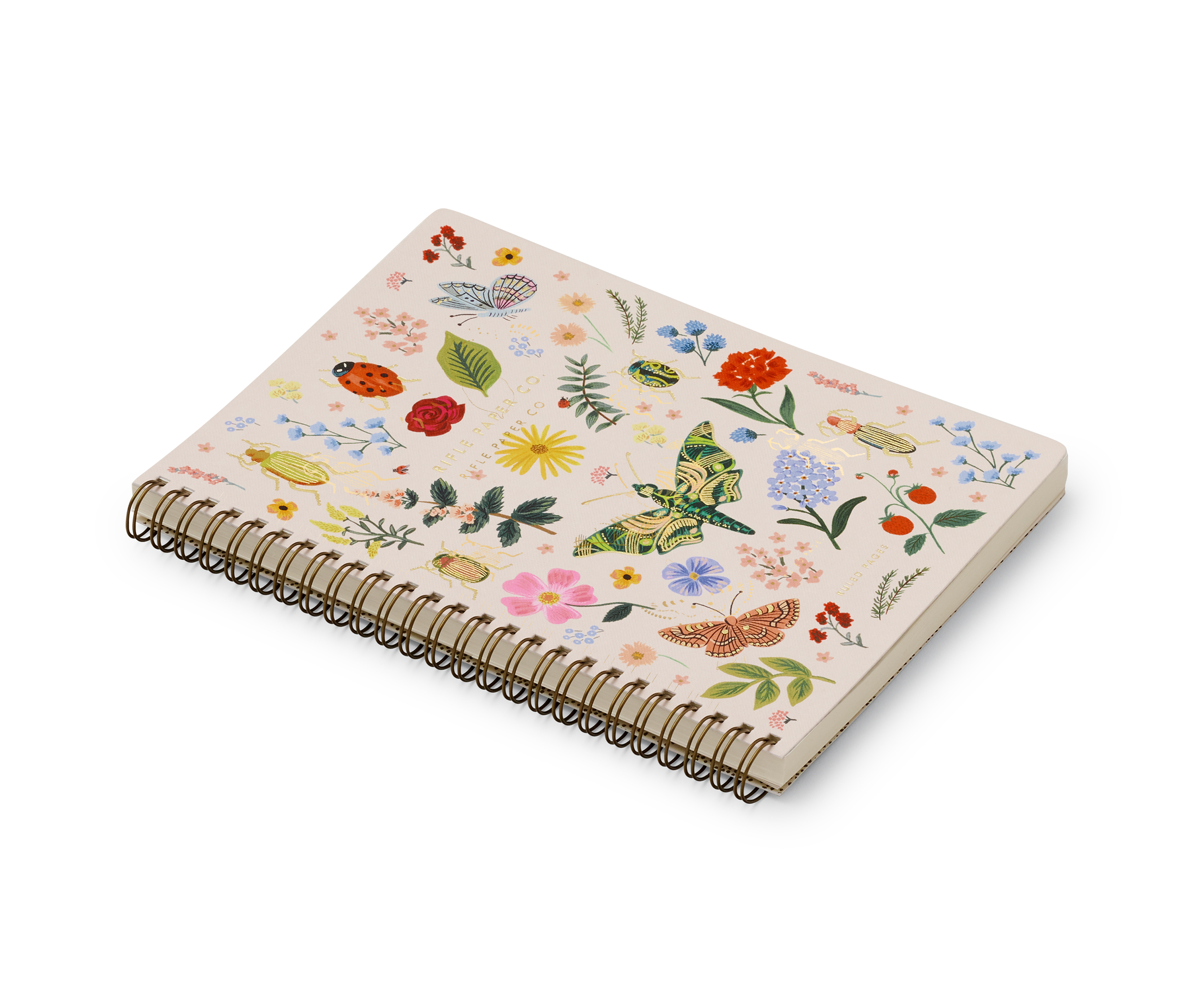 Curio Spiral Notebook - 3