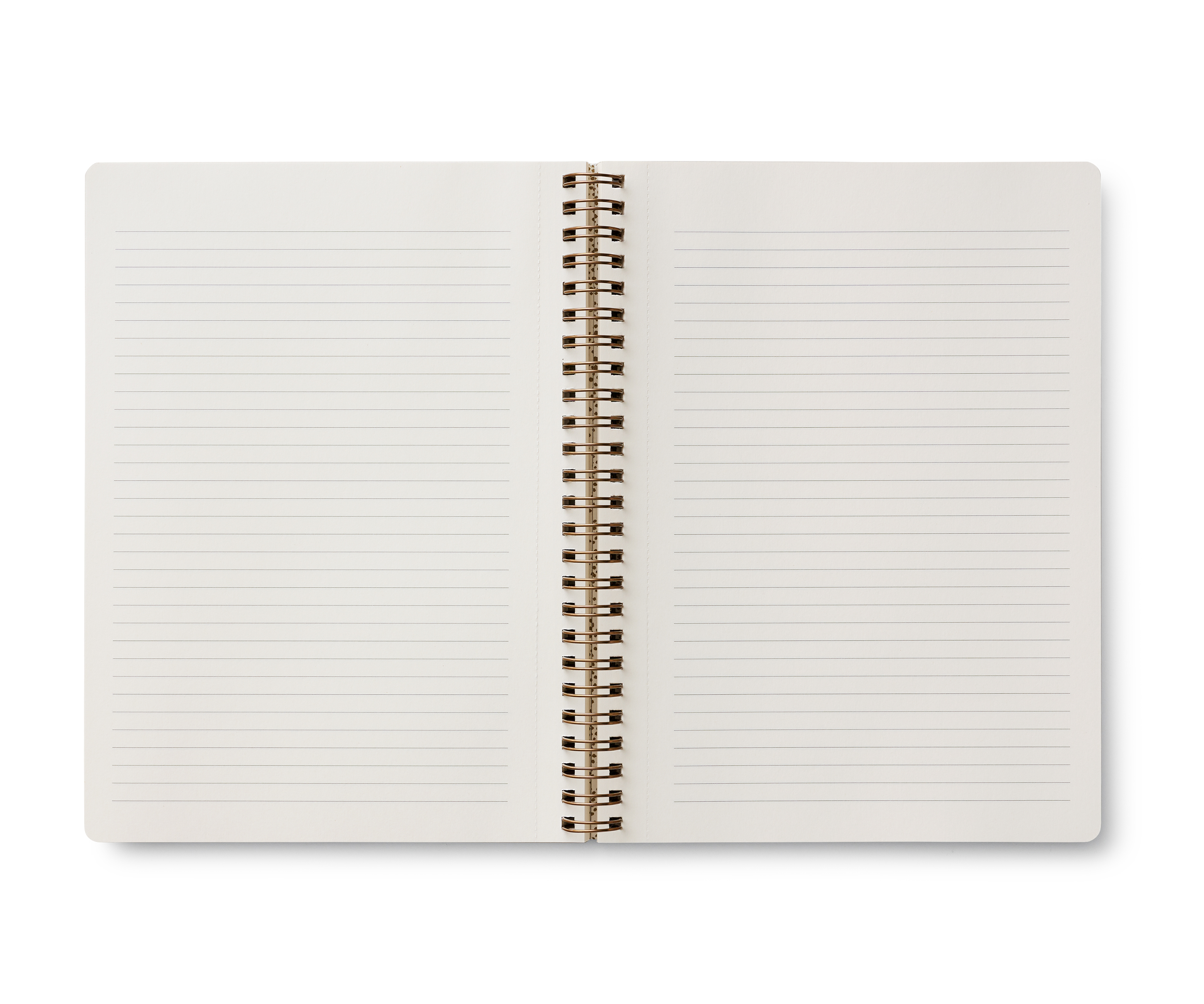 Curio Spiral Notebook - 2