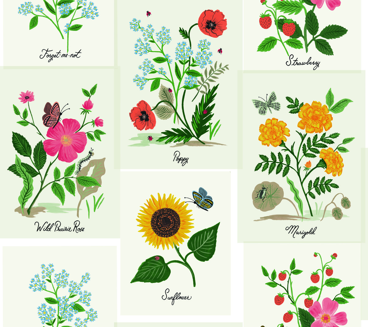 Botanical Prints tapet