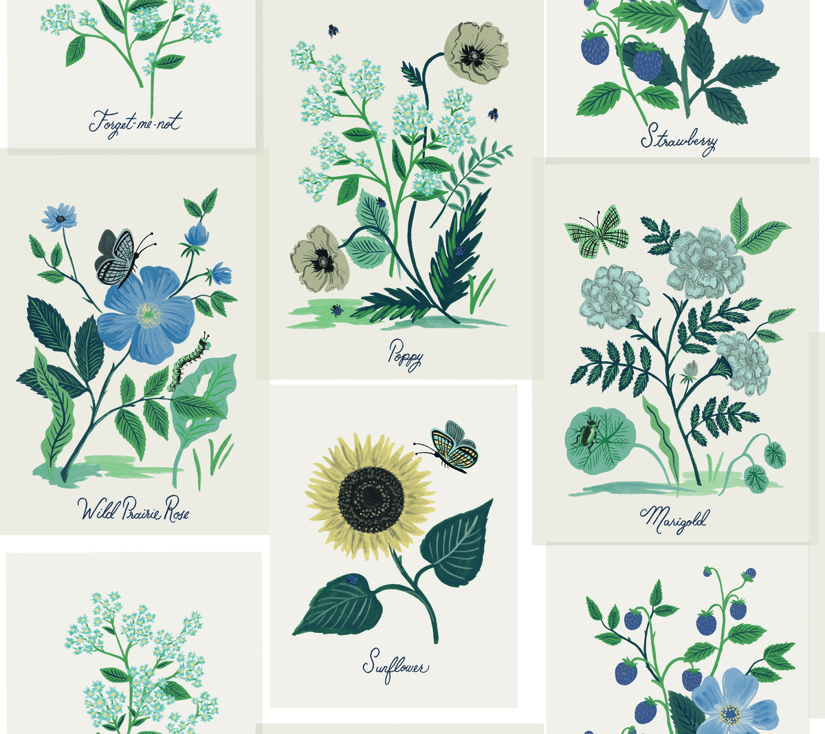 Botanical Prints tapet