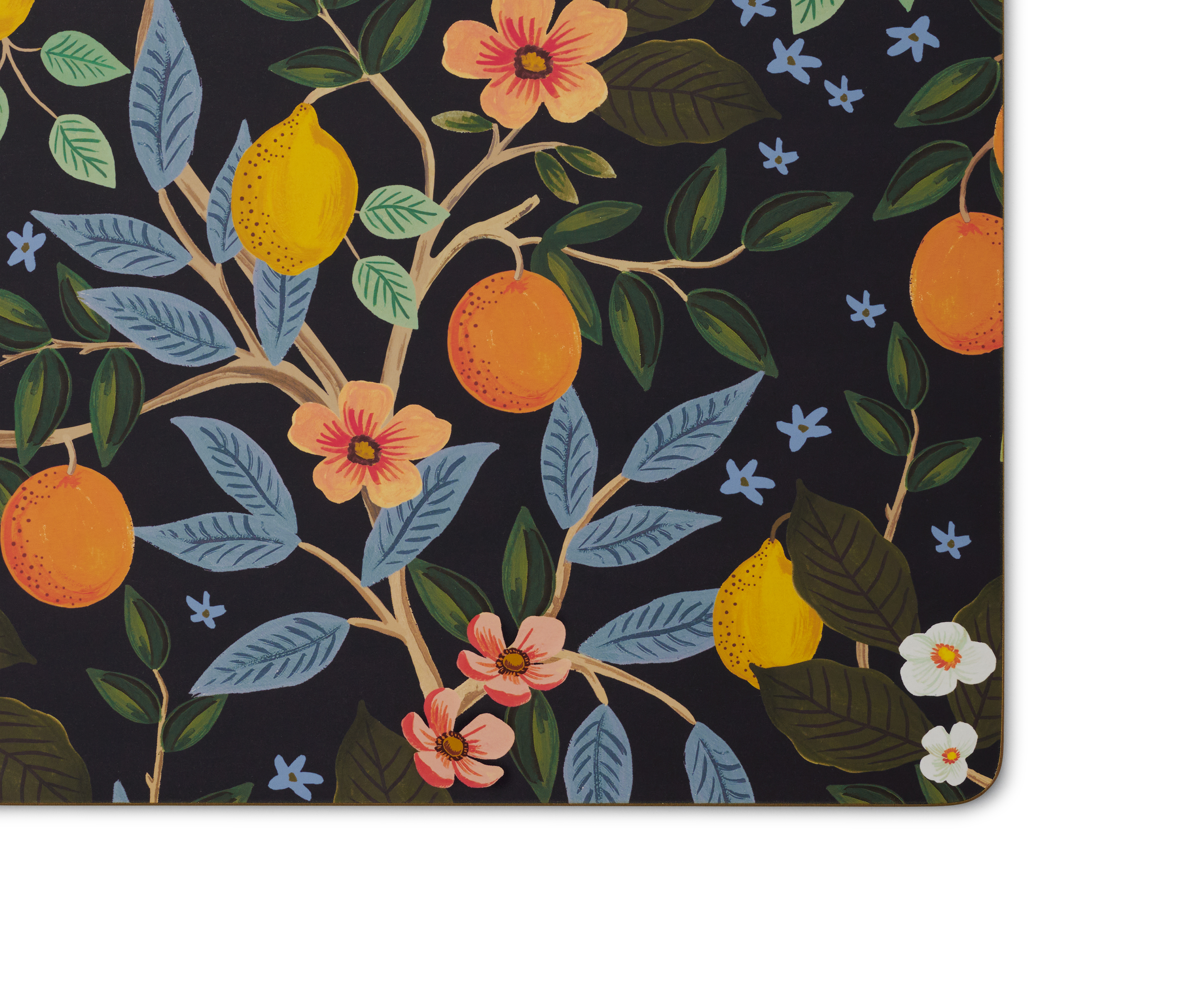 Set om 4 bordstabletter Citrus Grove - 2