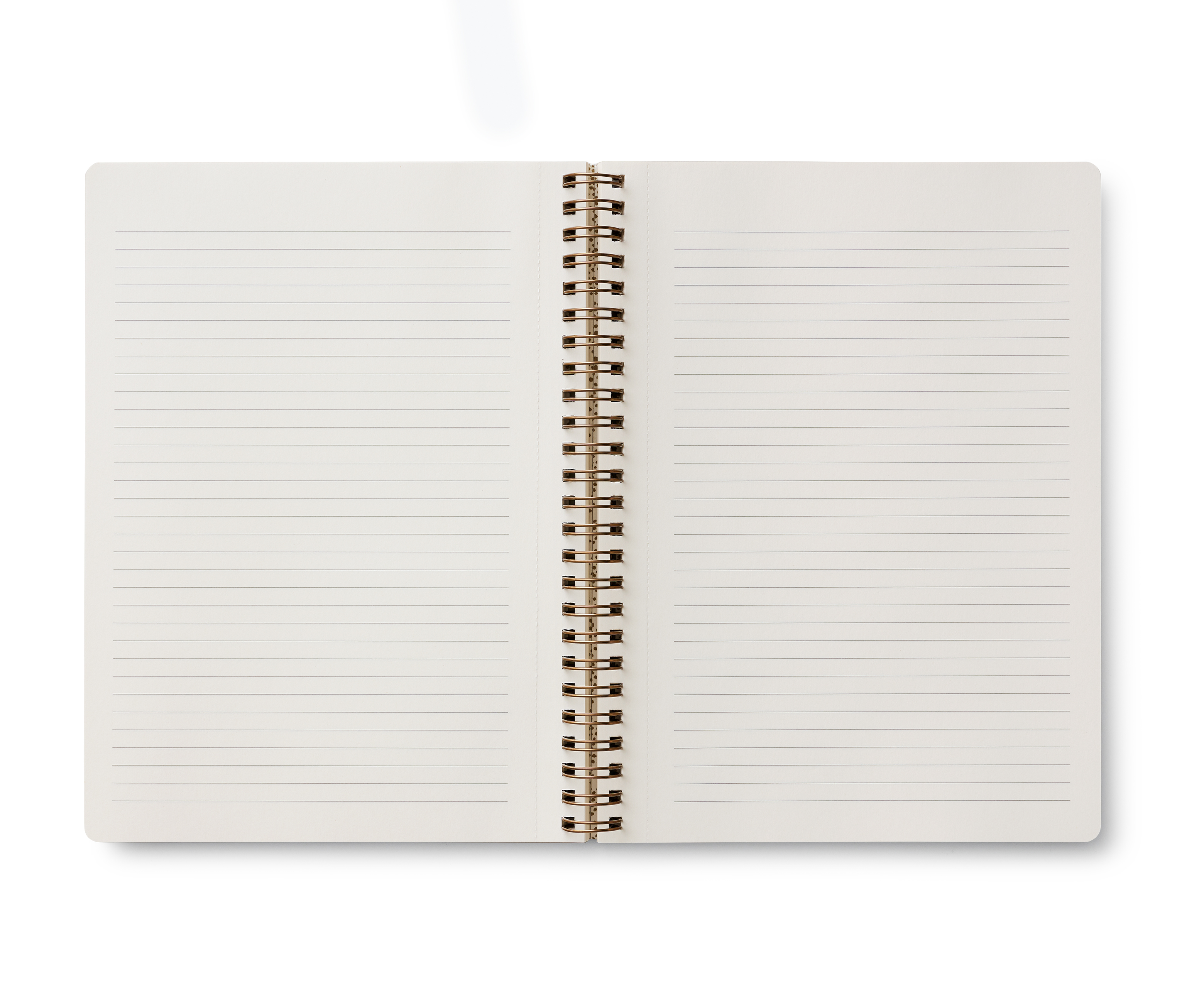 Peacock Spiral Notebook - 2