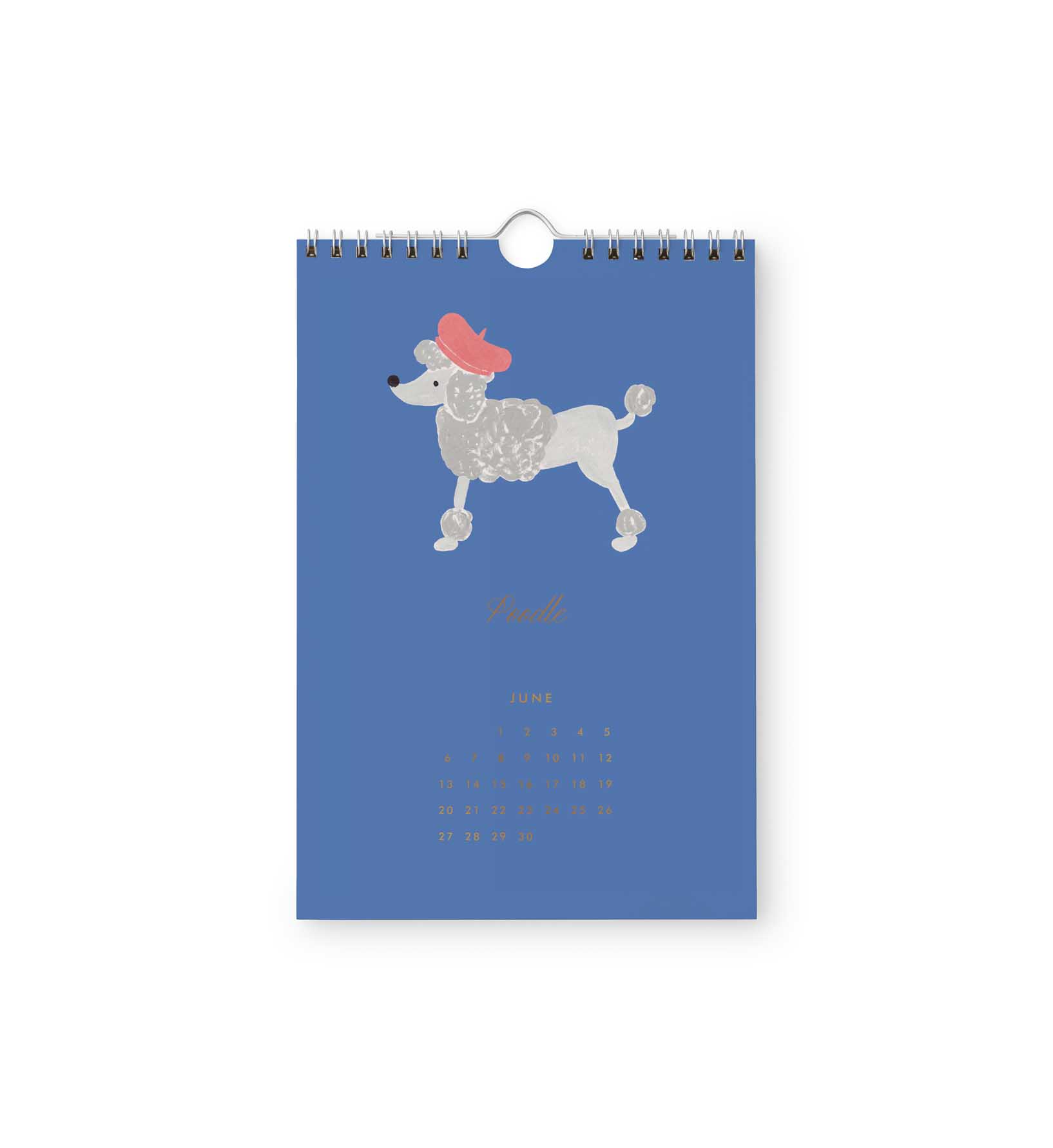 2027 Dog of the Month Kitchen Calendar - 7