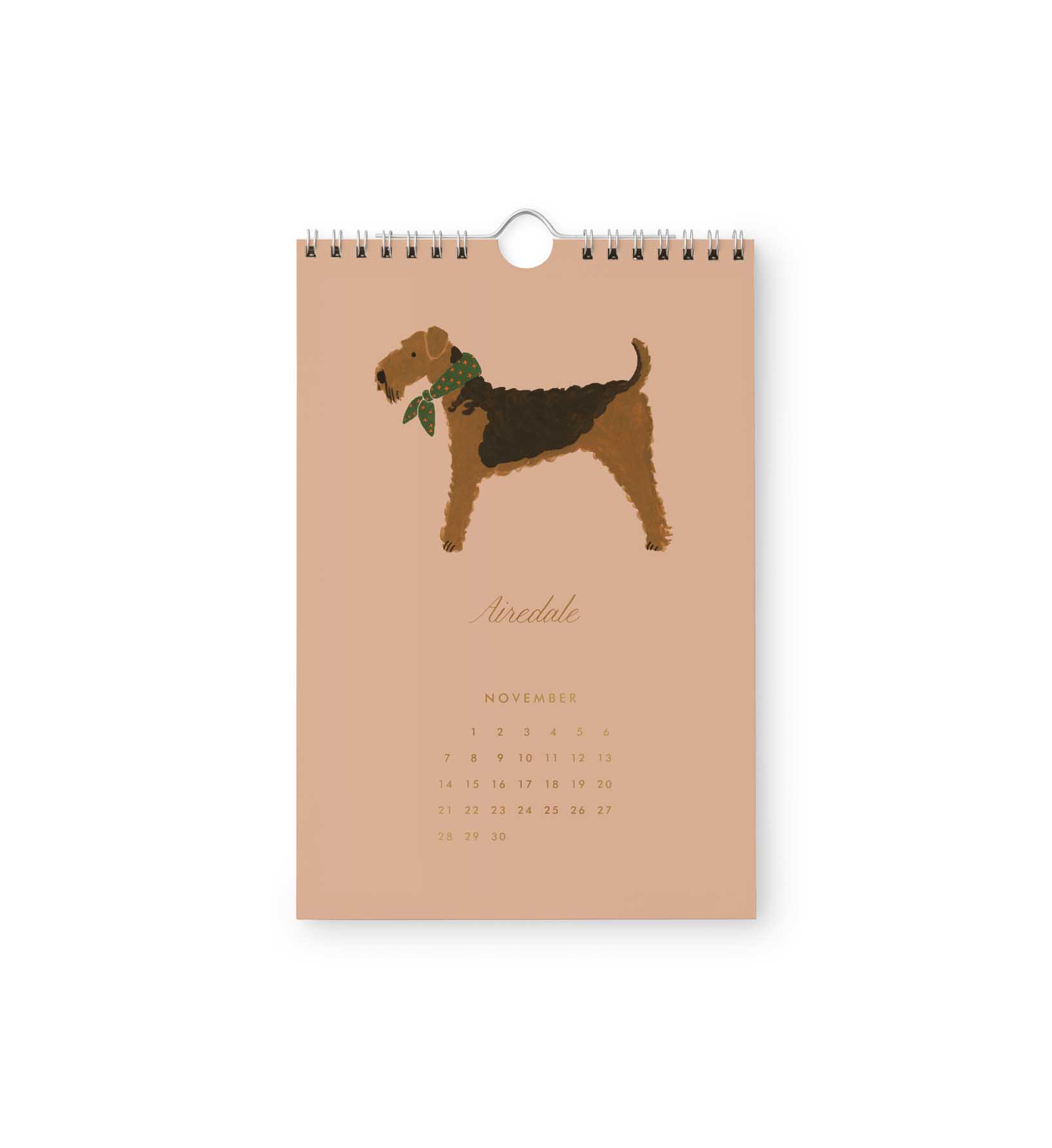 2027 Dog of the Month Kitchen Calendar - 12