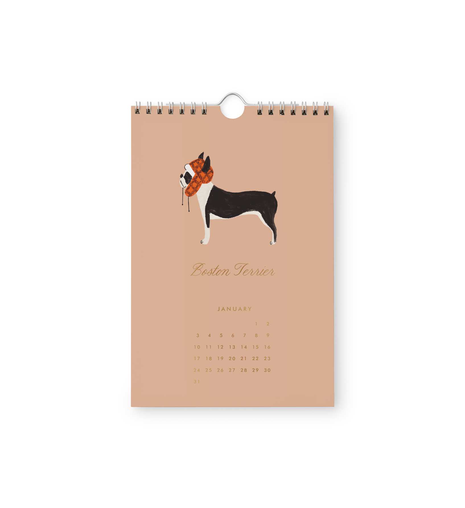 2027 Dog of the Month Kitchen Calendar - 2