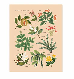 Herbs & Spices Peach Print (A3)