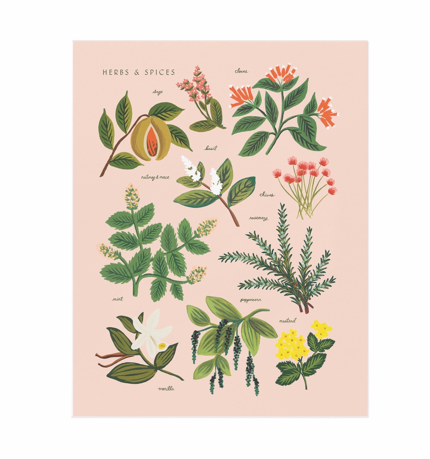 PRINTS