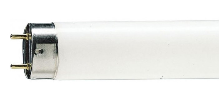 Philips T8 36W/840 G13