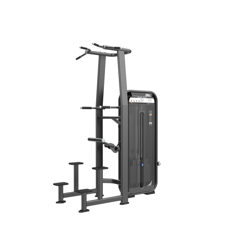 DHZ Fusion Pro Chin/Dip assist