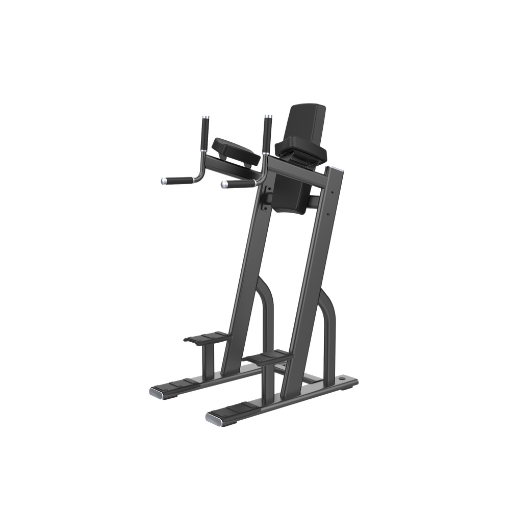 DHZ Fusion Pro Vertical Knees Up Dip