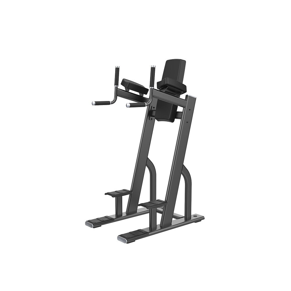 DHZ Fusion Pro Vertical Knees Up Dip