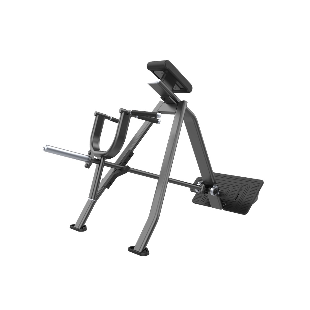 DHZ Fusion Pro Incline Level Row