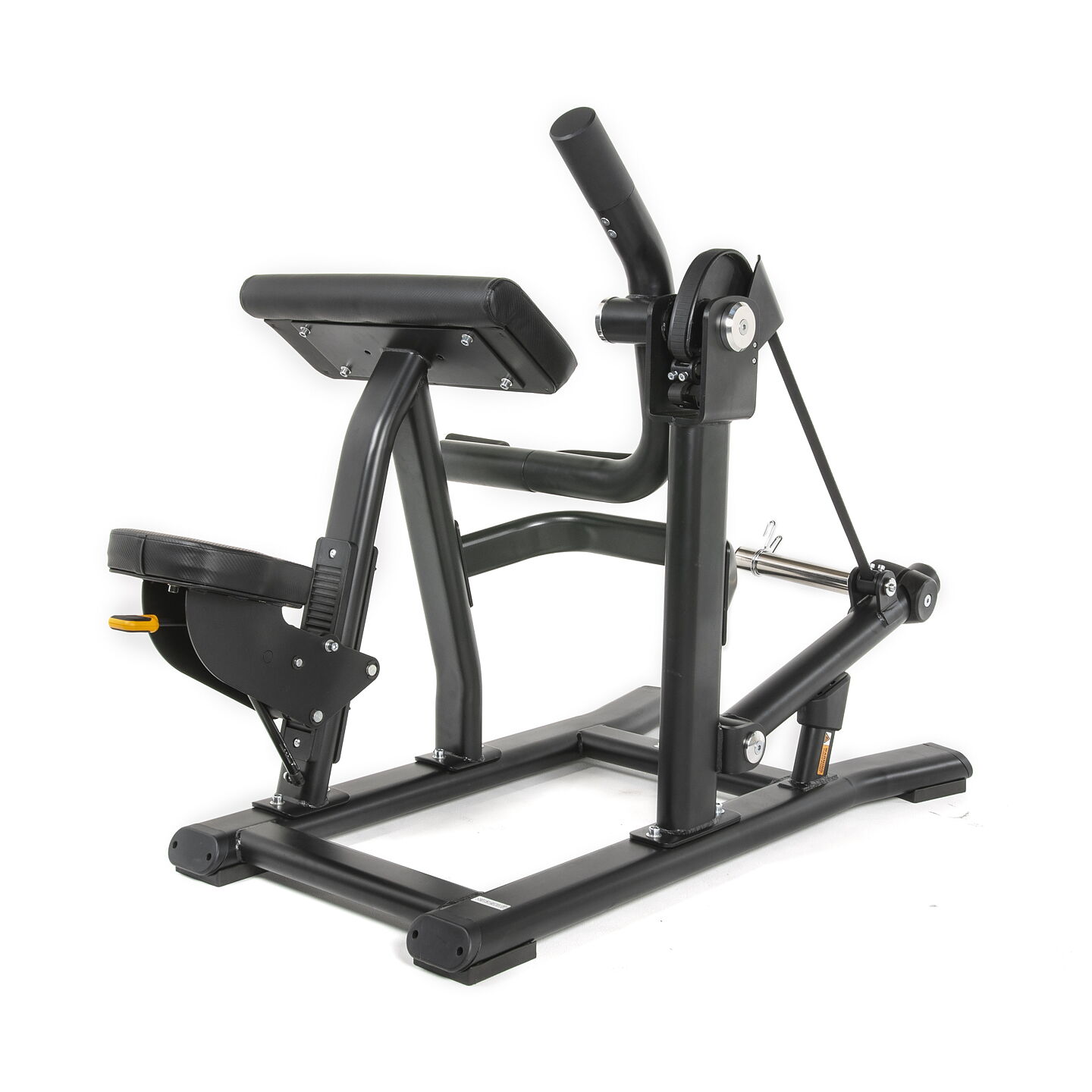 Thor Fitness Standard PL, Biceps Curl