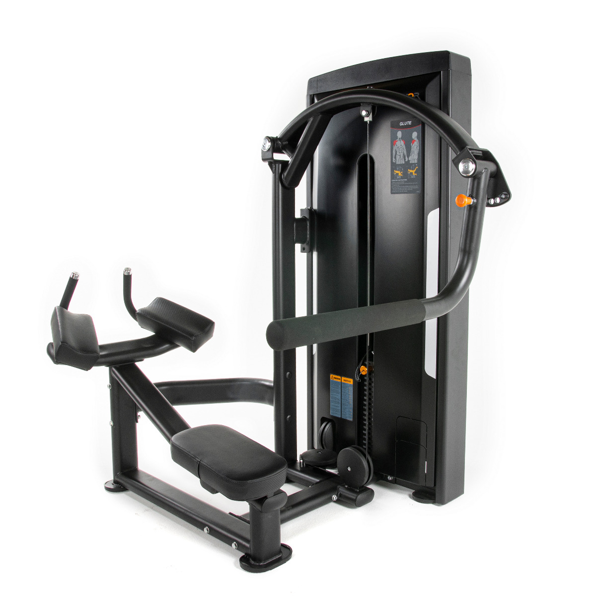 Thor Fitness Standard WS, Glute