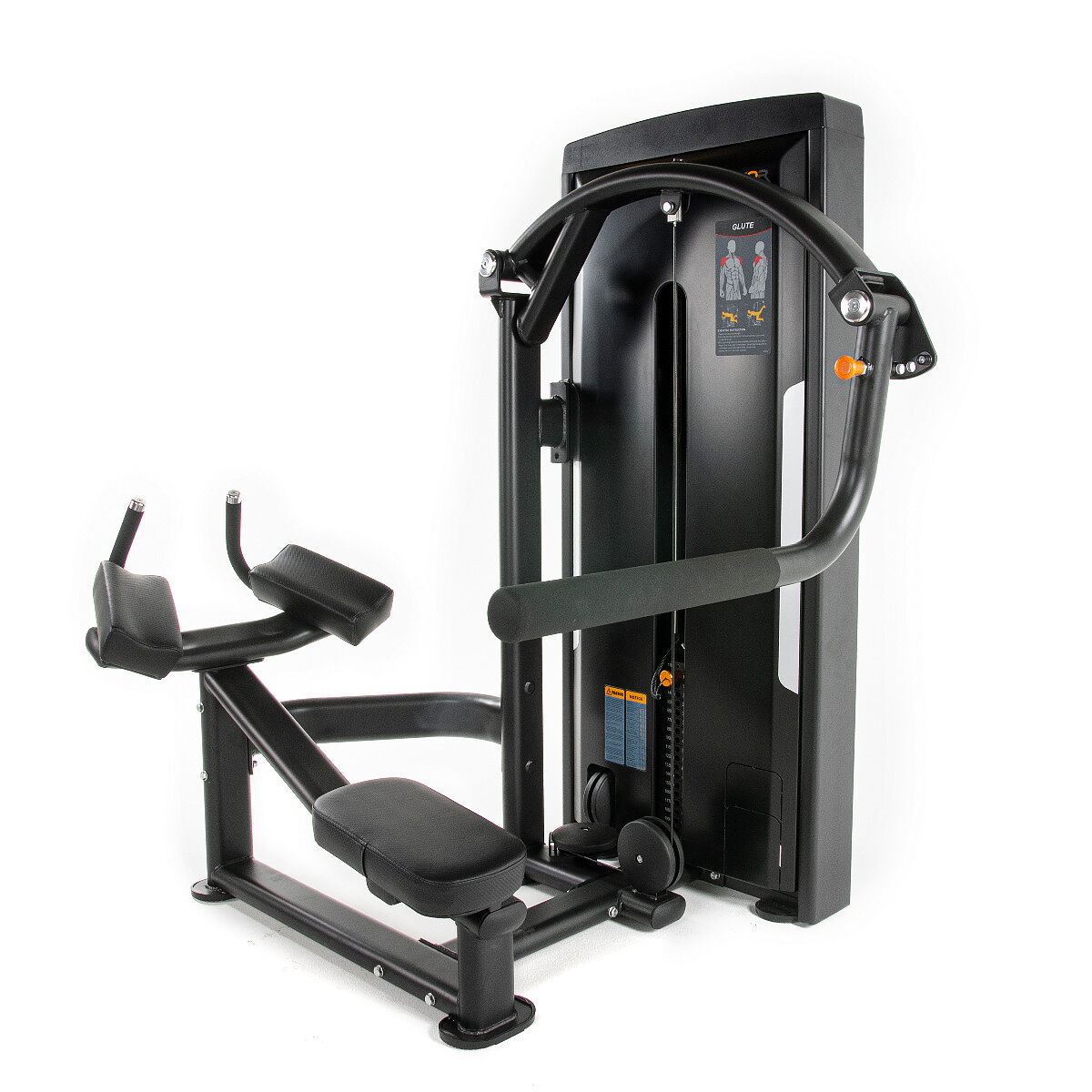 Thor Fitness Standard WS, Glute