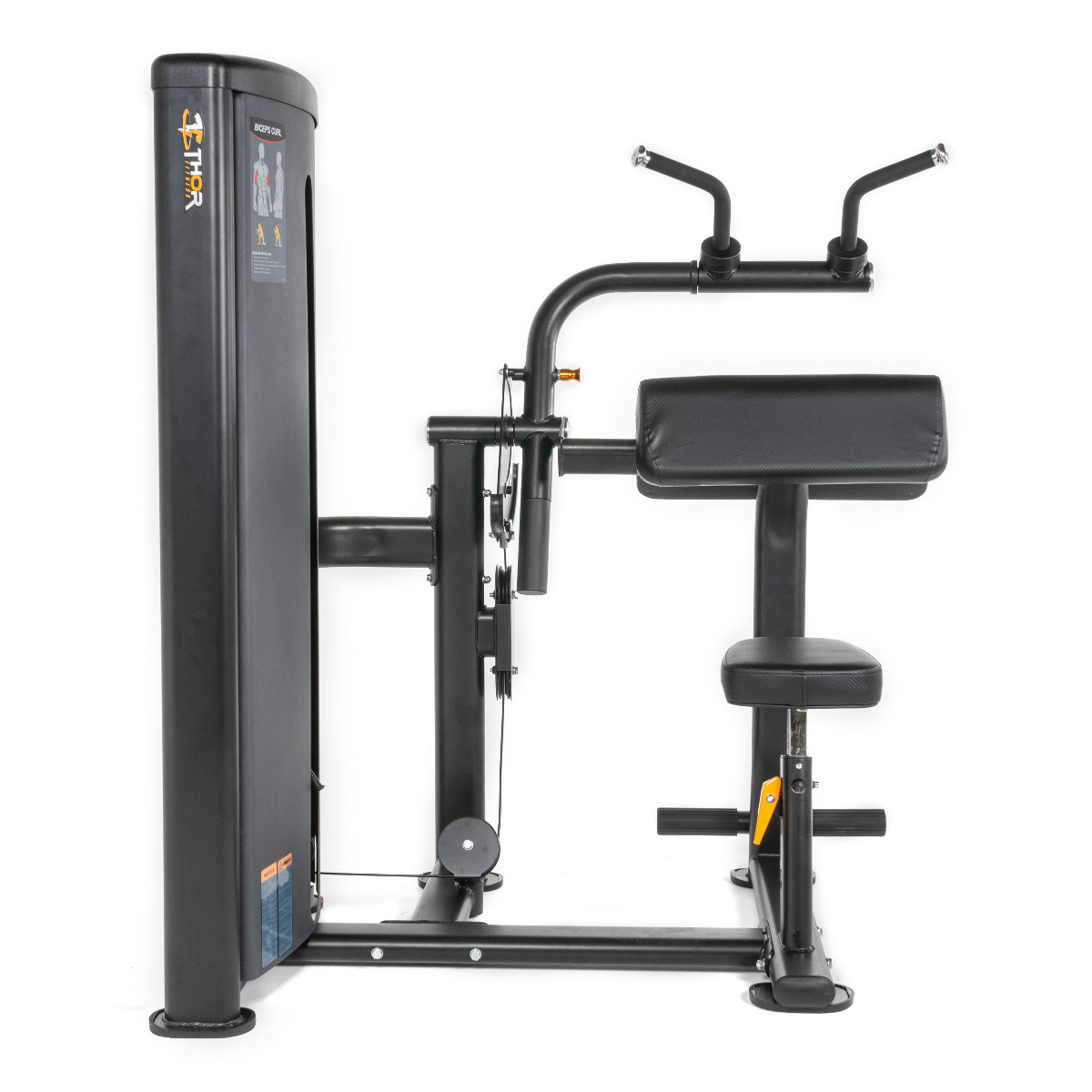 Thor Fitness Standard WS, Biceps/Triceps