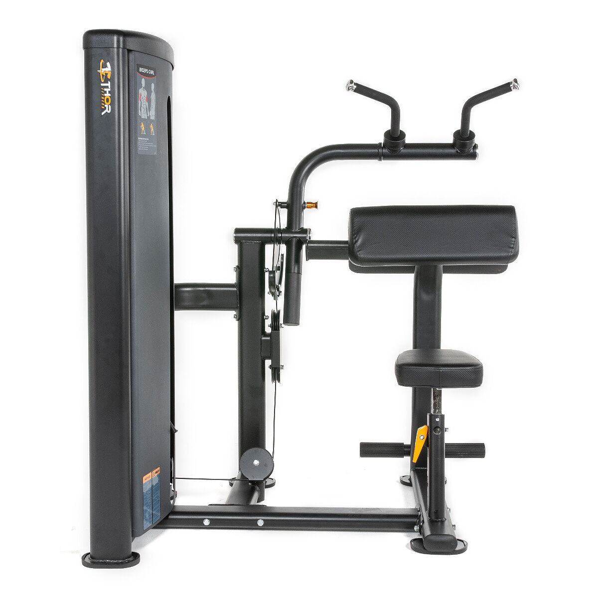Thor Fitness Standard WS, Biceps/Triceps