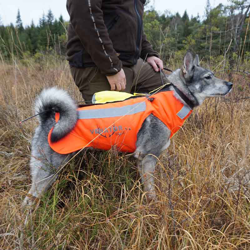 Hundskyddsväst Venator Edge  - 8