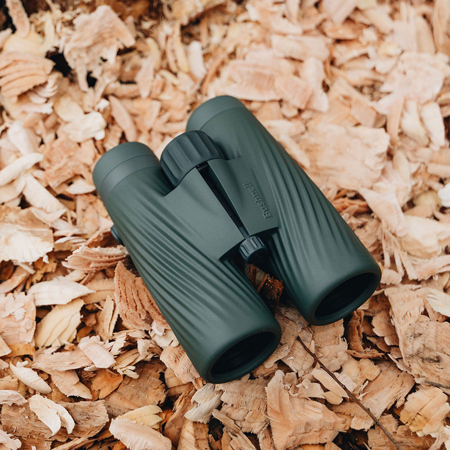 Bushnell A5 10x42 Roof Cilantro Green - 6