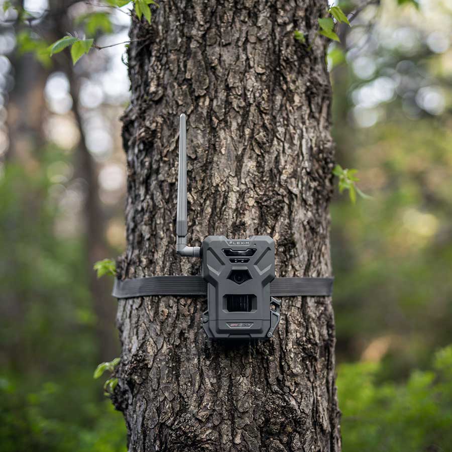 Spypoint FLEX-M Twin-Pack Åtelkamera  - 8