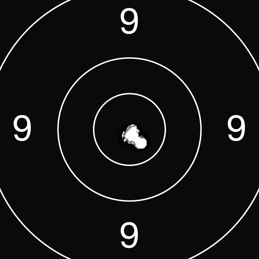 Stoeger XM1 BULLPUP PCP Kolfiberpipa - 10