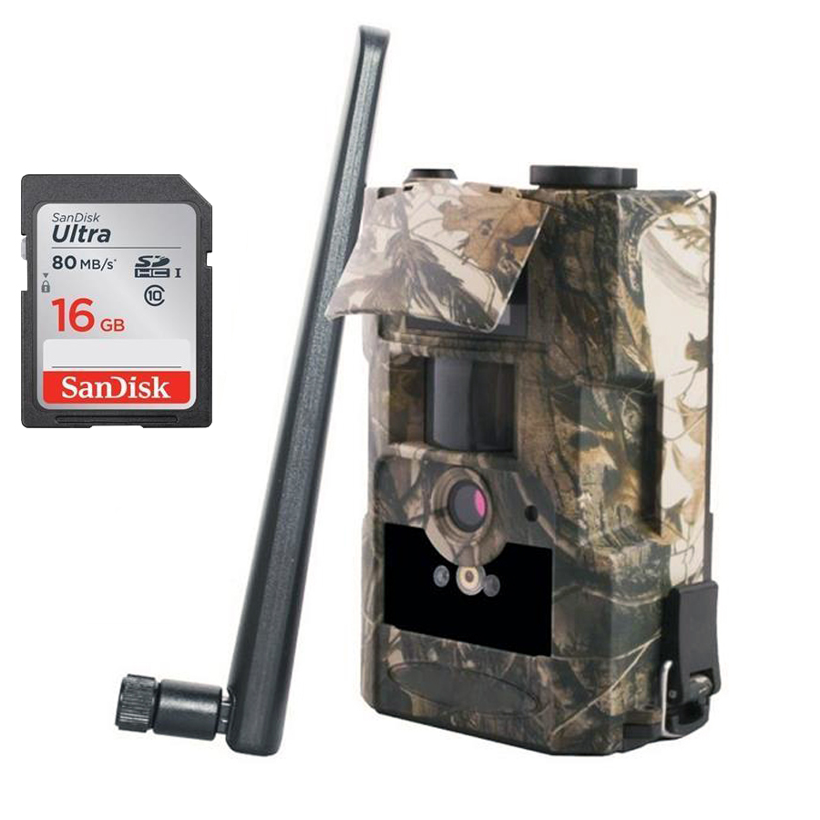 Porno multfilmlar past tezlikda