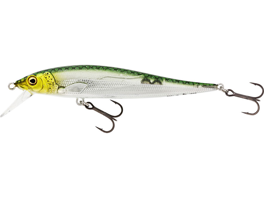 Westin JERKBITE SR JERKBAIT 9cm 8g - 4