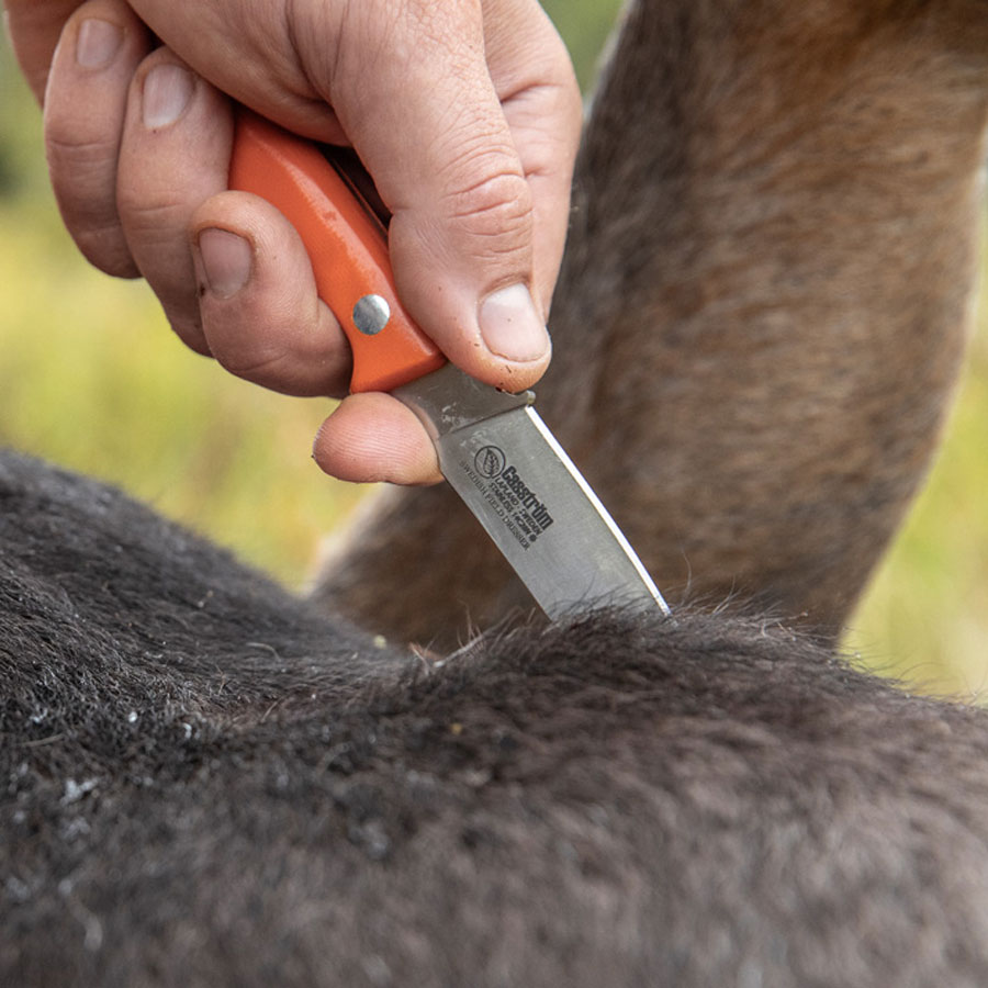 Casström Swedish Field Dresser, Orange G10, Kydex - 3