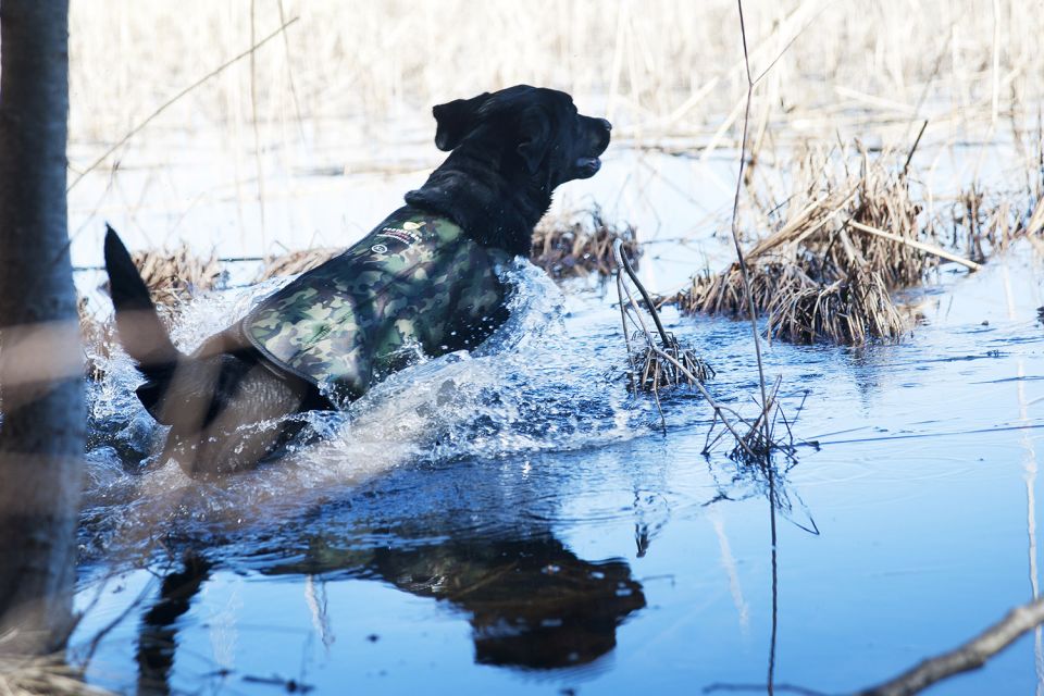 Hundväst Dogtech Retriever Camo - 3