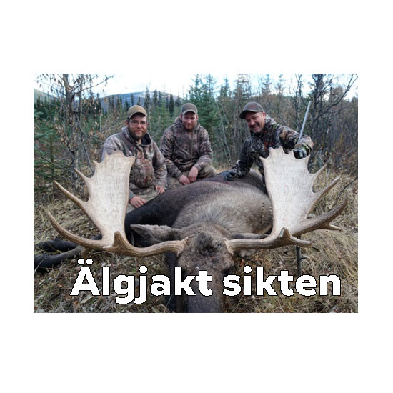 Älgjakt