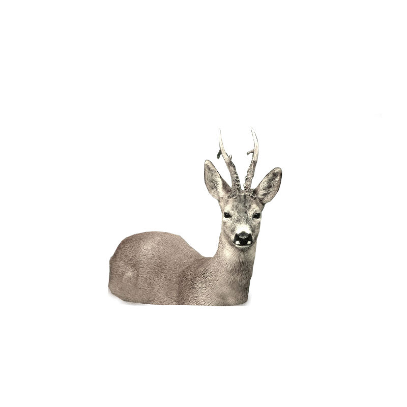 Locka Rådjur, Hjort, Älg