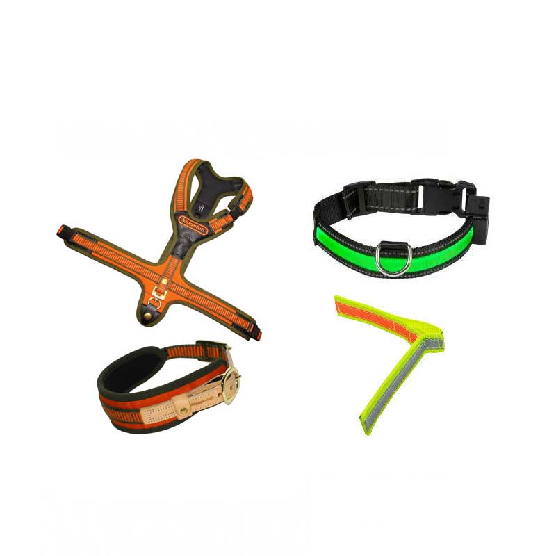 Halsband & Spårsele