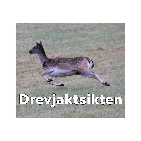 Drevjakt