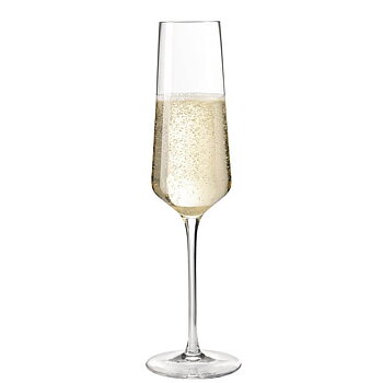 PUCCINI 6-pack Champagneglas 280ml