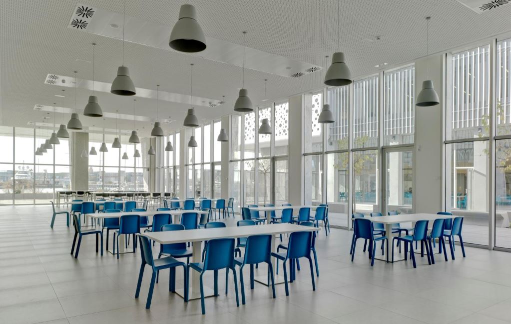 ARA Chair - 11