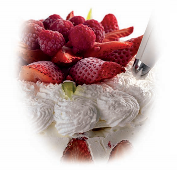 Cream Whipper machine - Prima 2 & 5