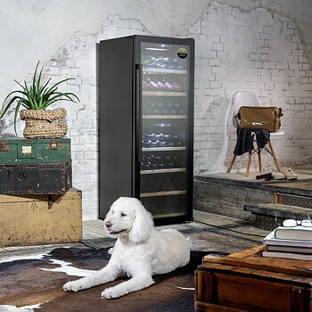 CASO WineExclusive 126 Smart Falstaff Edition