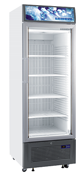 Exposure freeze Liebherr FDv, 461 liters