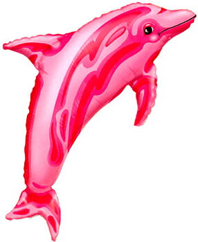 31 tum Delfin Rosa - 79 cm