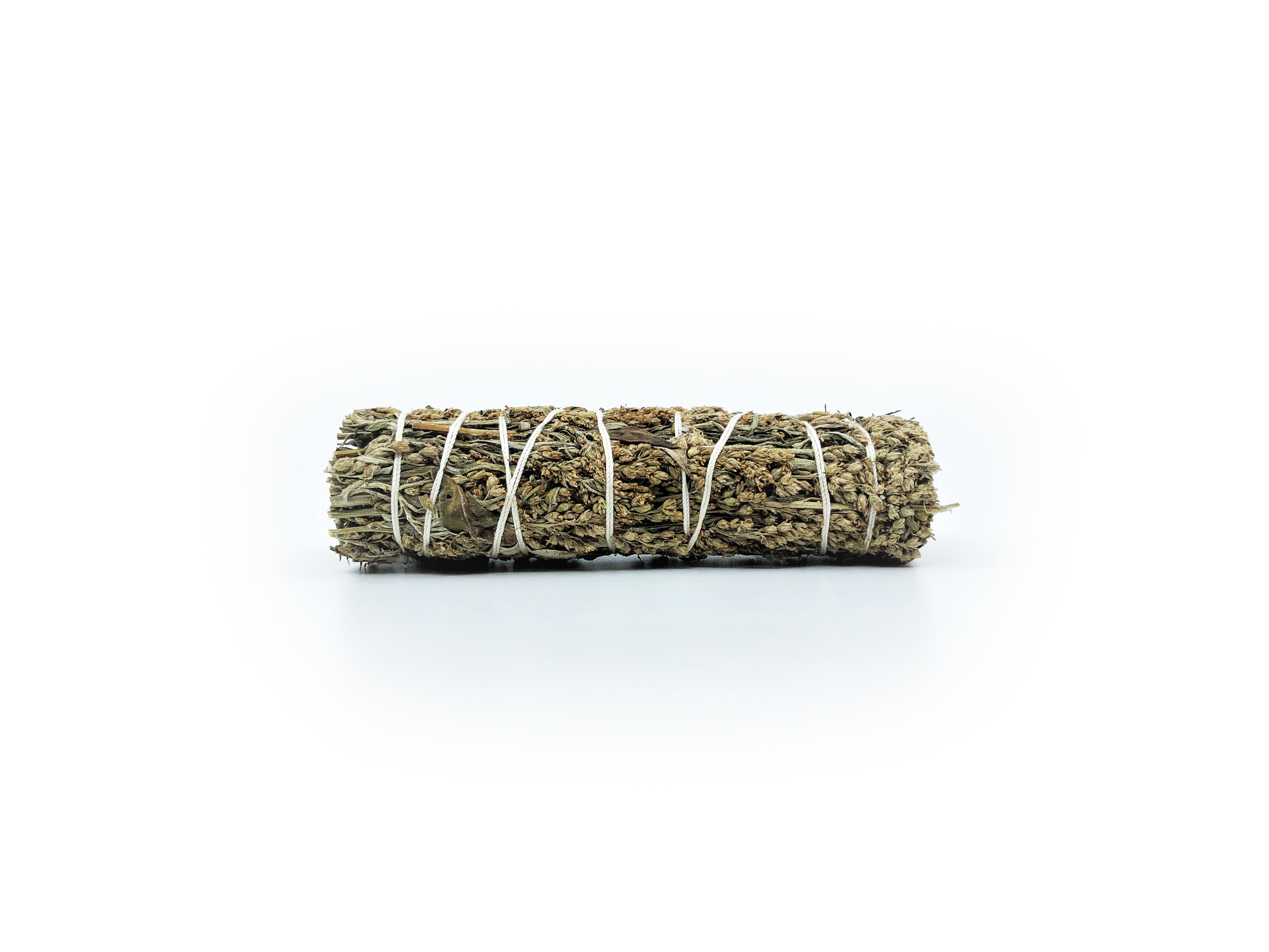 Gråbo buntar (Artemisia vulgaris) - 4