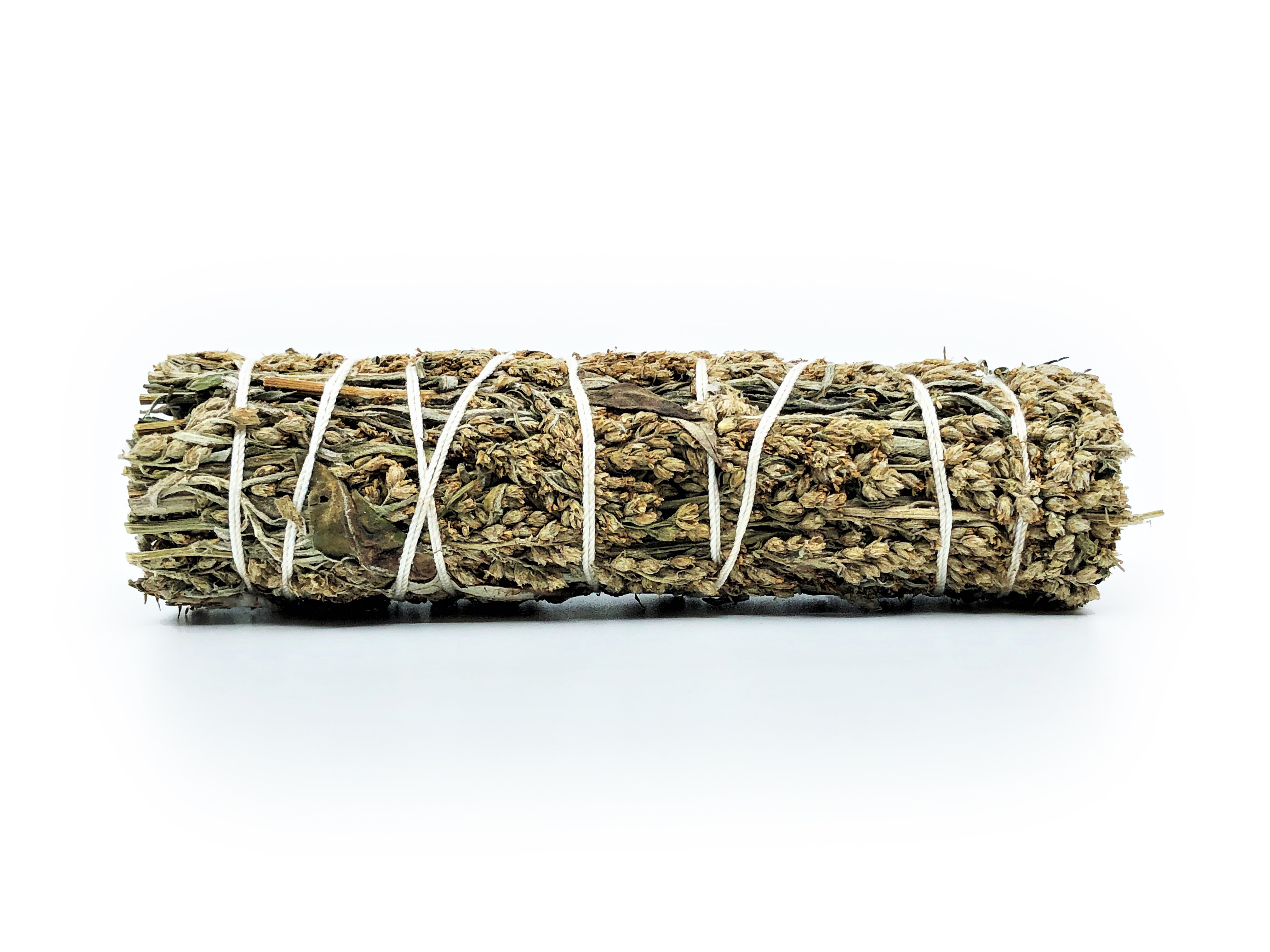 Gråbo buntar (Artemisia vulgaris) - 3