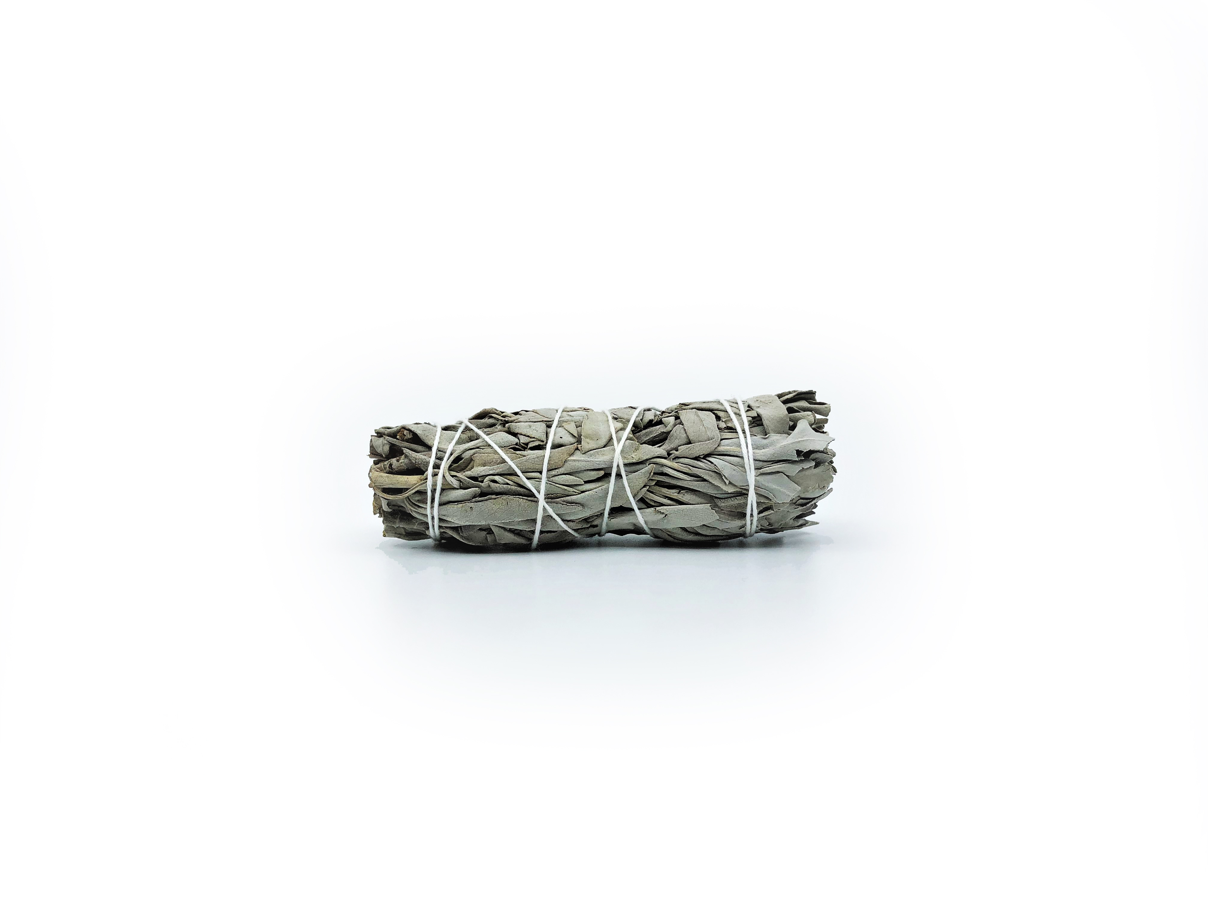 White Sage Buntar (Salvia apiana) - 8
