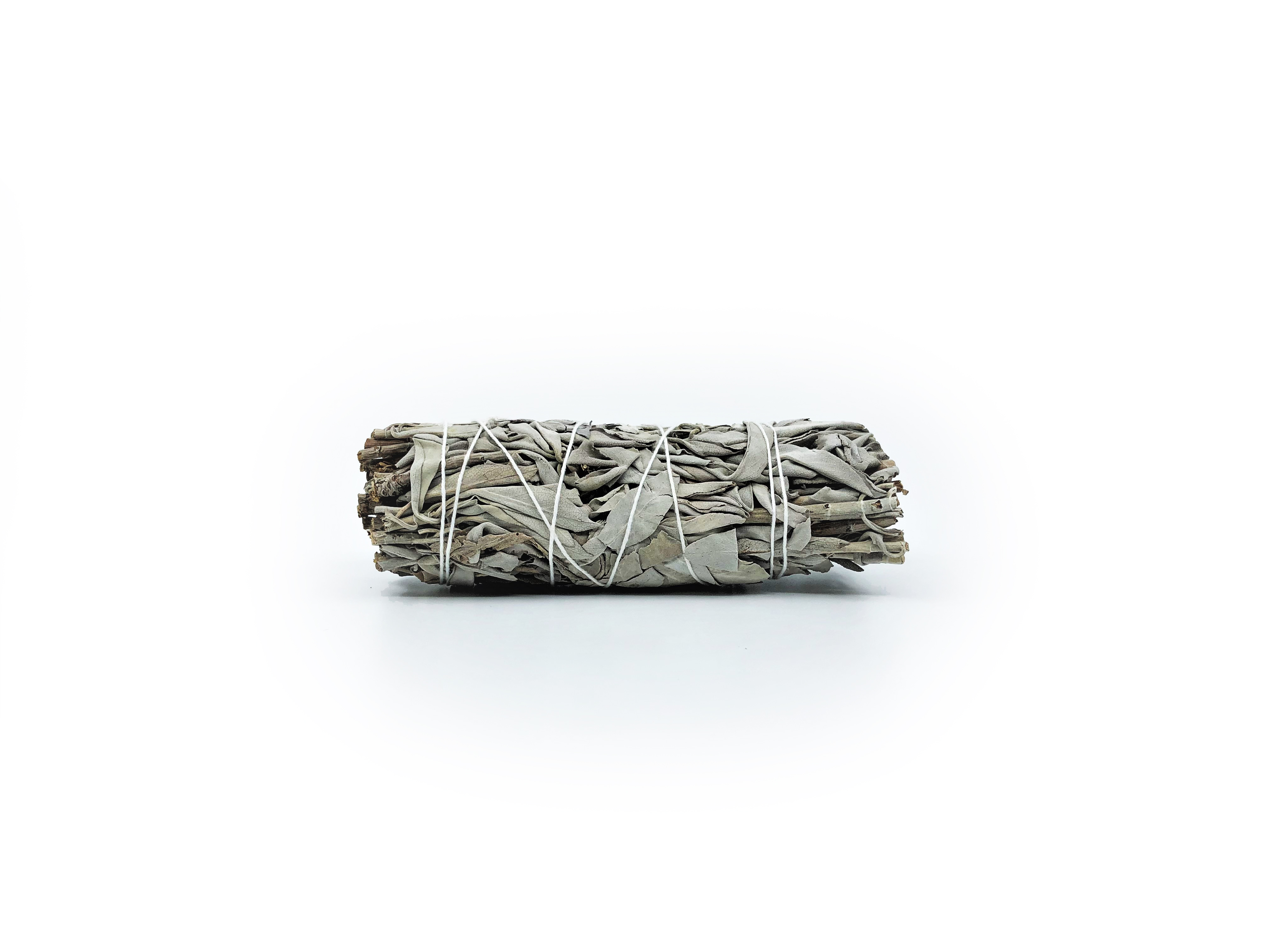 White Sage Buntar (Salvia apiana) - 6