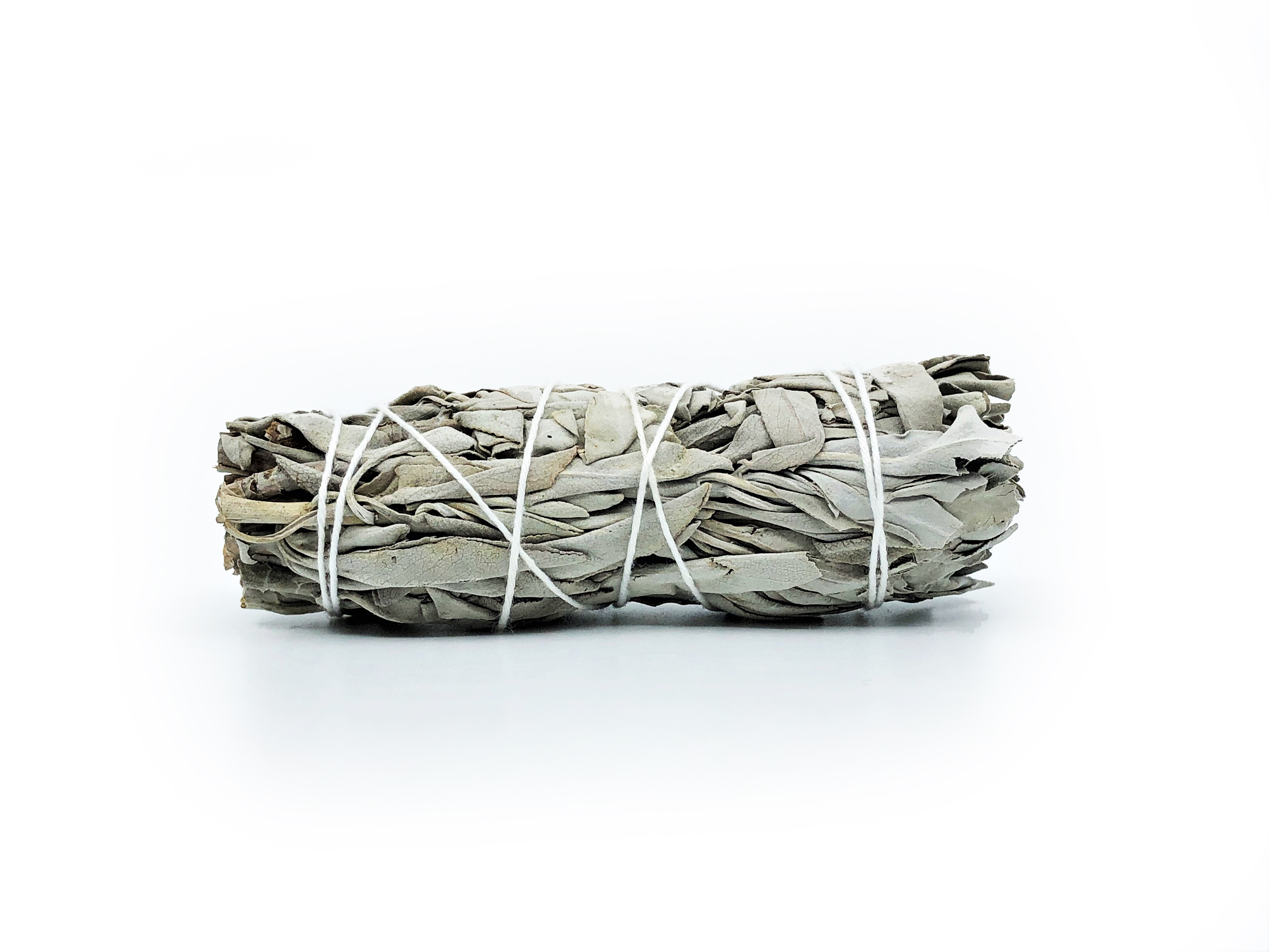 White Sage Buntar (Salvia apiana) - 7
