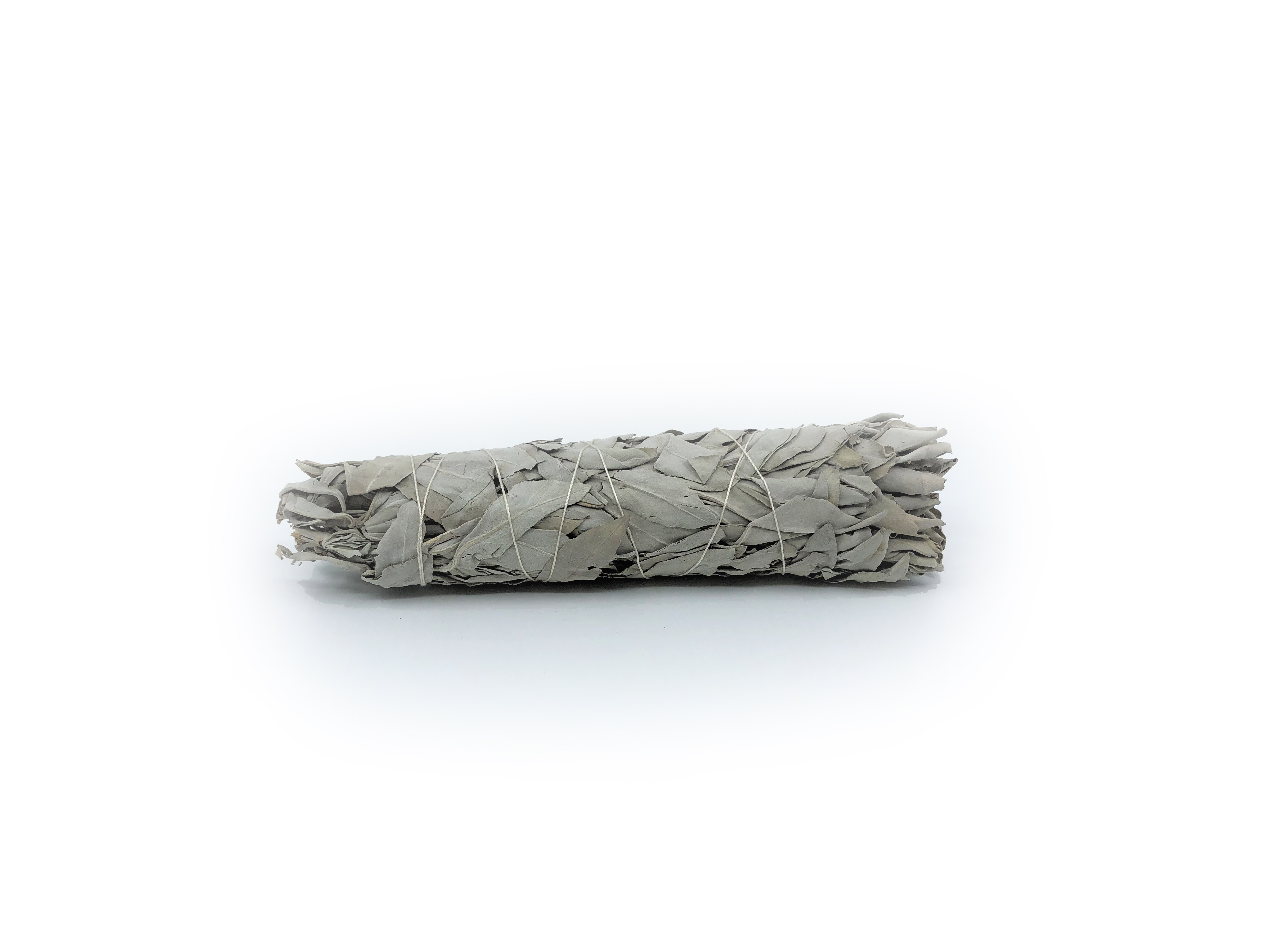 White Sage Buntar (Salvia apiana) - 4